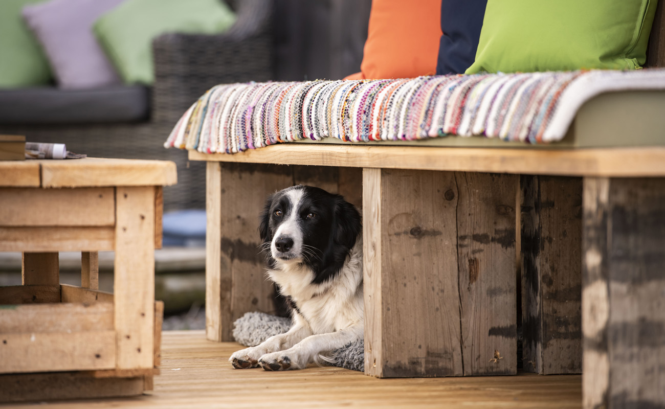 ShepherdsHut27